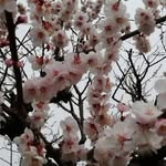 Laryssa Vine Vine - @eva_de_almeida_pereira - Instagram
