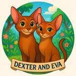 DEXTER AND EVA - @dexter_and_eva - Instagram