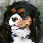 Dexter Evan Hall - @dexter_evan_hall - Instagram