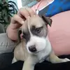 Eva Dexter Bustamant - @evadexterbustamante - TikTok