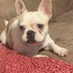 Eva McLeroy Dodson - @dodson.eva - Instagram