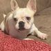 Eva McLeroy Dodson - Facebook