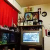 Eva Domingo Menor - @eva.domingo.menor - TikTok