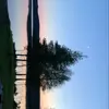 eve.dupuis - @eve.dupuis_ - TikTok