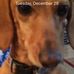 Eva Dyer - Facebook