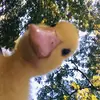 Eva - @eva_eder - TikTok