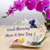 Eva Edge - @justgoodmorning - TikTok