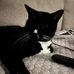 Eva Elmore - Facebook
