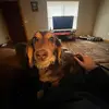 evaelmo - @evaelmore333 - TikTok