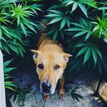 Eva Erickson - @_e_v_a_e_ - Instagram