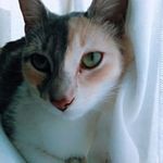 Eva Escalante - @evaescalante2851 - Instagram