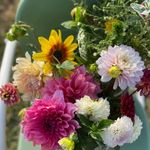 Eva-flower farmer - @blessedstemsflowerfarmllc - Instagram