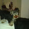 evabernalferreiro - @evabernalferreiro - TikTok