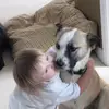 eva - @evafields - TikTok