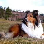 Eva Field - @abbypayton05 - Instagram