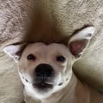 Evan Firth - @evanfirth - Instagram
