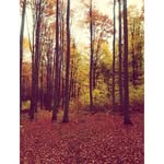 @firtherthievar1 - Instagram