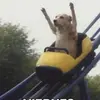 eva_flora - @evaflora1111 - TikTok