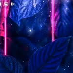 EvaFrançois - @evafrancois577 - Instagram