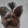 привет всем :) - @evafriend_missanna - TikTok