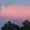 Eva_friends - @eva_friends - TikTok