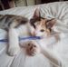 Eva Fuentes - Facebook