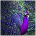 Eva Galloway - Facebook