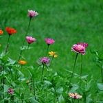 Eva Gentry - @gentry1326 - Instagram