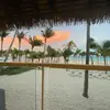ℰ𝓋𝒶 - @eva..goodallsmith - TikTok