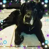 Eva Greenwald - @eva.greenwald - TikTok