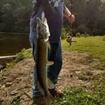 Evan Griswold - @evangriswold - Instagram