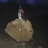 evangriswold566 - @evangriswold566 - TikTok