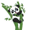 Eva Hanson LLC - @eva.llc6 - TikTok