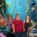 Eva Harmon - Facebook