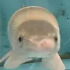 evan heisler - @evan.heisler - TikTok