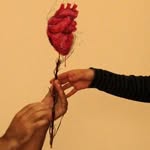 Eva Heloísa - @eva_heloisa.ps - Instagram