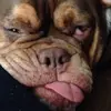 evanhodge155 - @evanhodge155 - TikTok