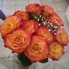 eva_hoffer - @eva_hoffer - TikTok