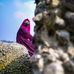 Eva Haque - Facebook