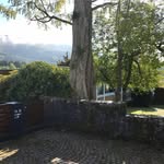 Eva Holz - @fleetwings - Instagram