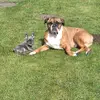 Eva Holz 2.0 - @eva.holz.2.0 - TikTok