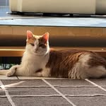 Eva - @eva.honig2022 - Instagram