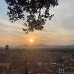 Eva Hookway - @evahookway - Instagram