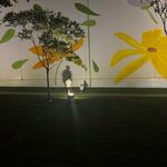 Evan - @evanehoover - Instagram