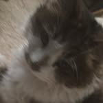 Evan Hoover - @evanhoover12 - Instagram