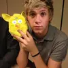 .evahoran - @.evahoran - TikTok