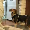 evahortonstephens - @evahortonstephens - TikTok