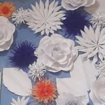 Eva House - @evahouse_52 - Instagram