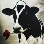Eva Hoyer - @cowgirl7576 - Instagram
