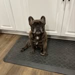Eva Hubbell - @solitopotato433 - Instagram